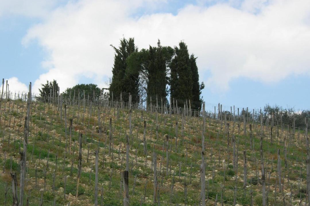 Photo of Others in Mercatale Val di Pesa