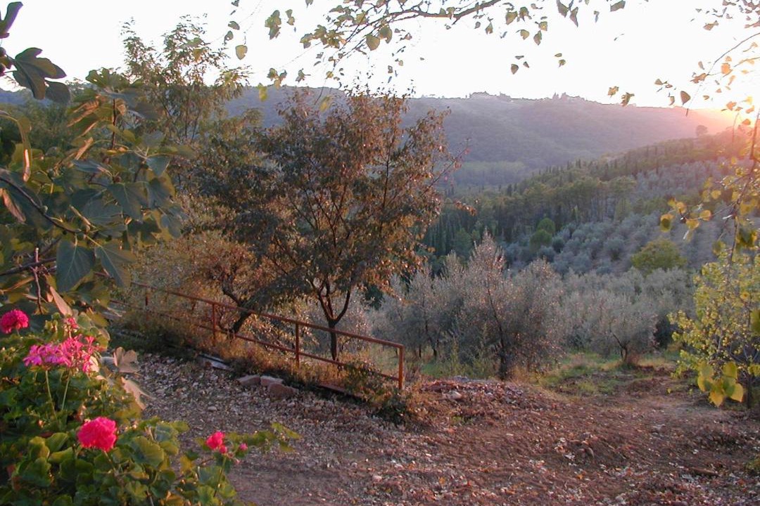 Photo of Outdoor in Mercatale Val di Pesa