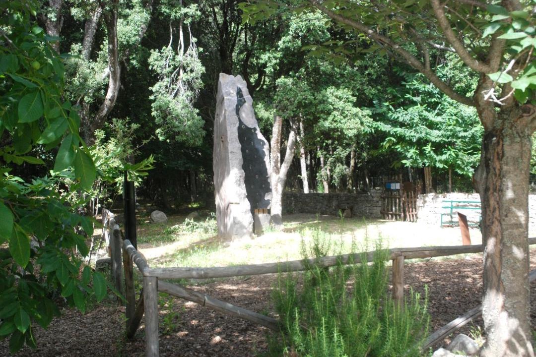 Photo of Others in Lanusei