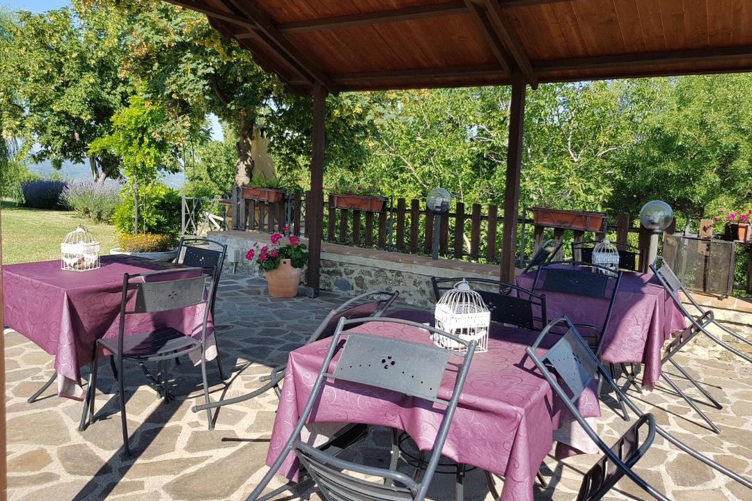 Photo of Others in Seggiano