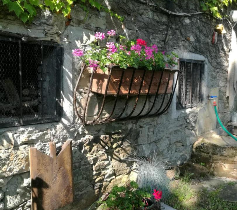 Photo of Others in Scandiano