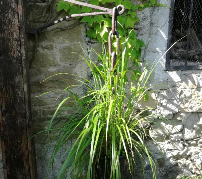 Photo of Others in Scandiano
