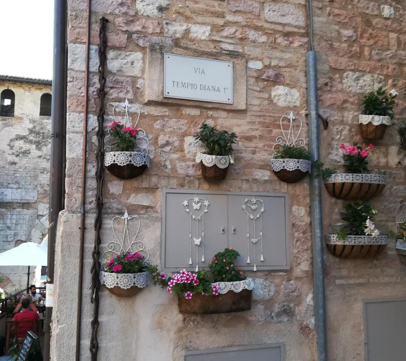 Photo of Others in Spello
