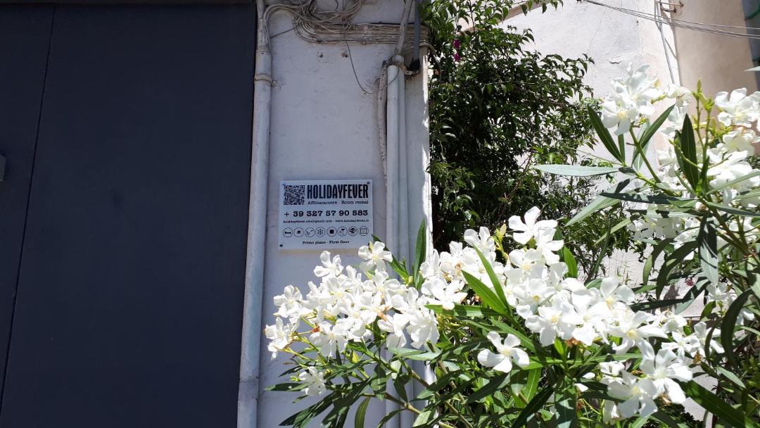Photo of Others in Alghero