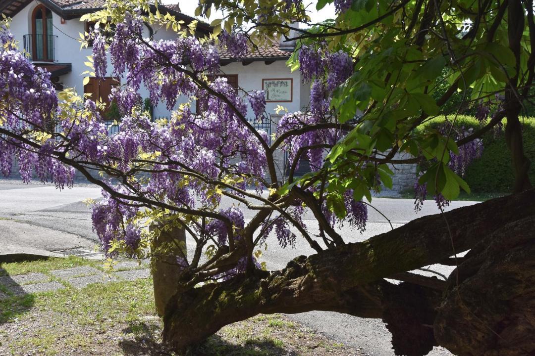 Photo of Others in Savogna d'Isonzo