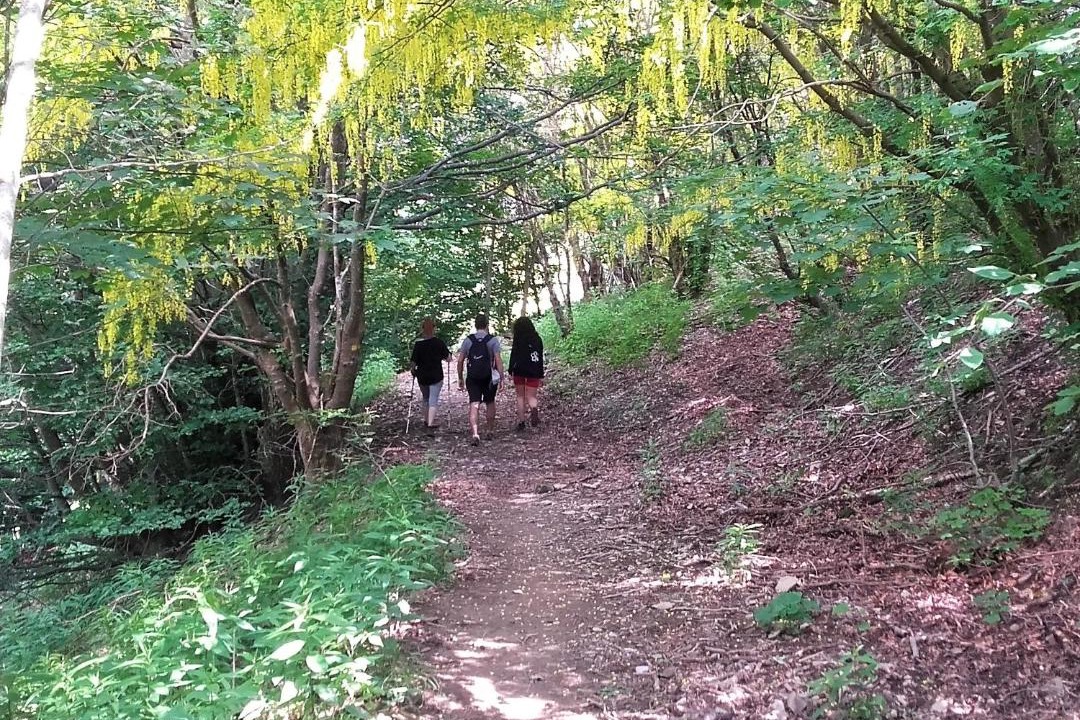 Photo of Others in Torriglia