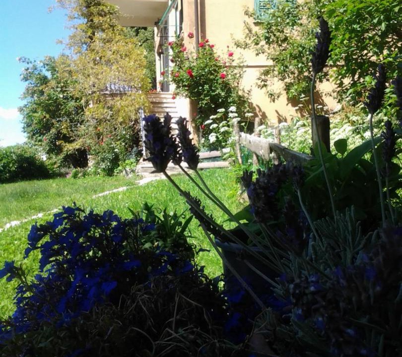 Photo of Others in Torriglia