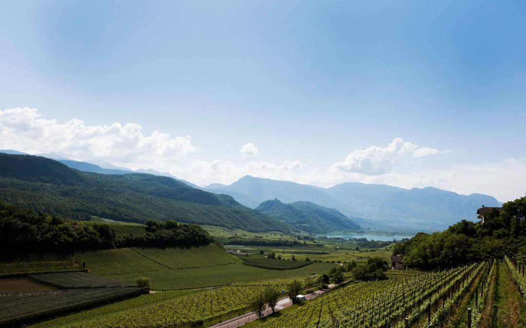 Photo of Others in Caldaro Sulla Strada del Vino