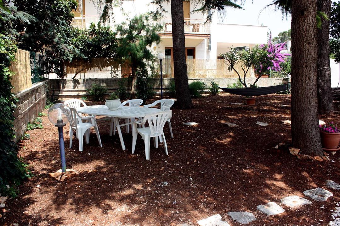 Photo of Others in Alcanterini