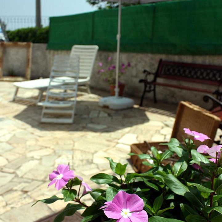 Photo of Others in Alcanterini