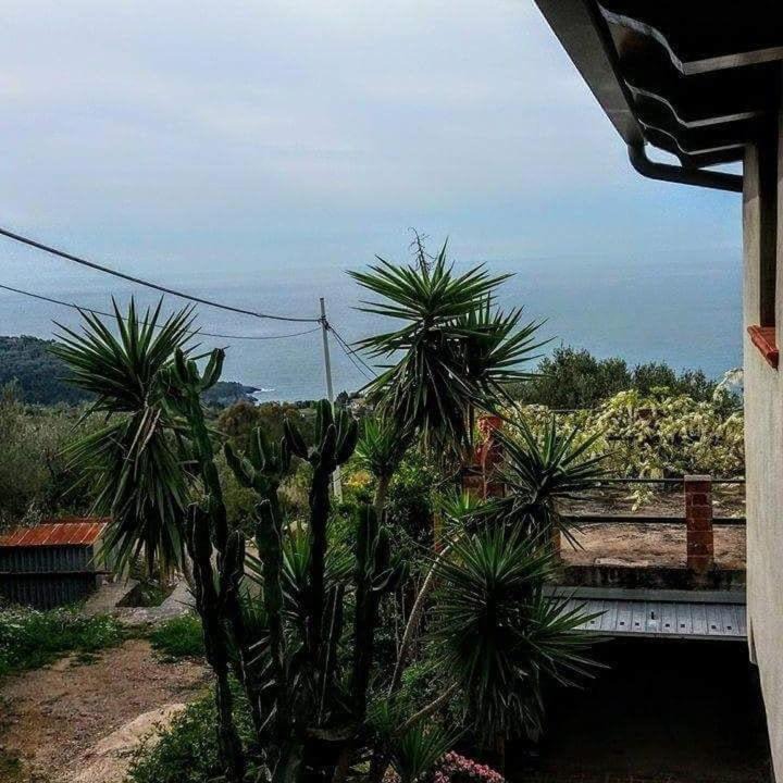 Photo of Others in Lentiscosa