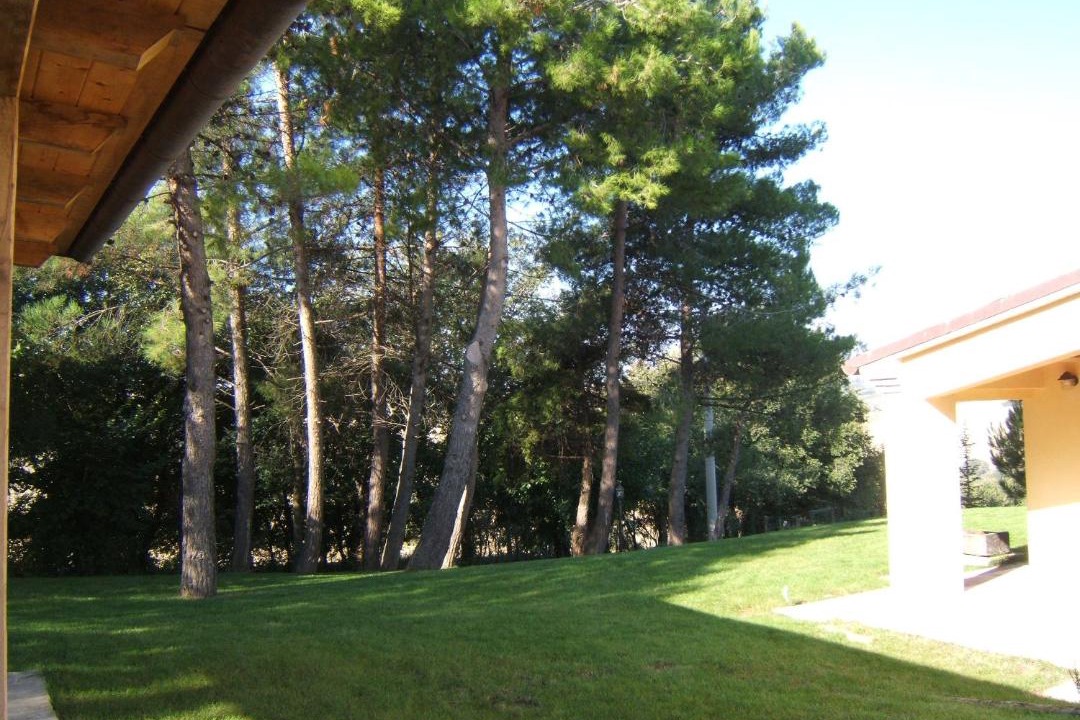 Photo of Others in San Marcello