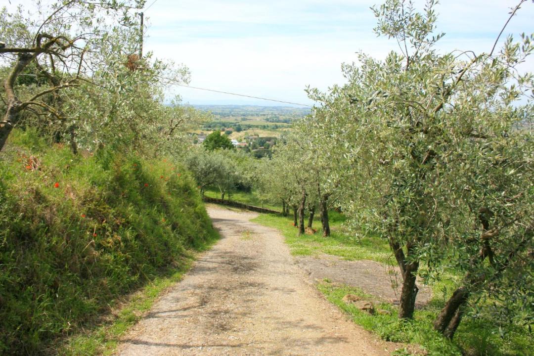 Photo of Outdoor in San Pietro a Cegliolo