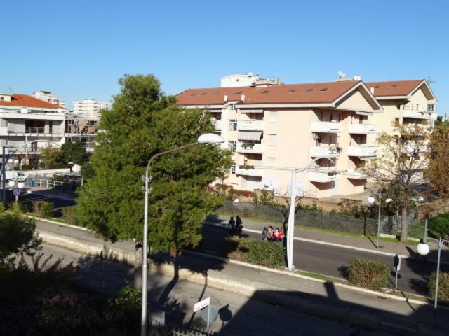 Photo of Others in Montesilvano