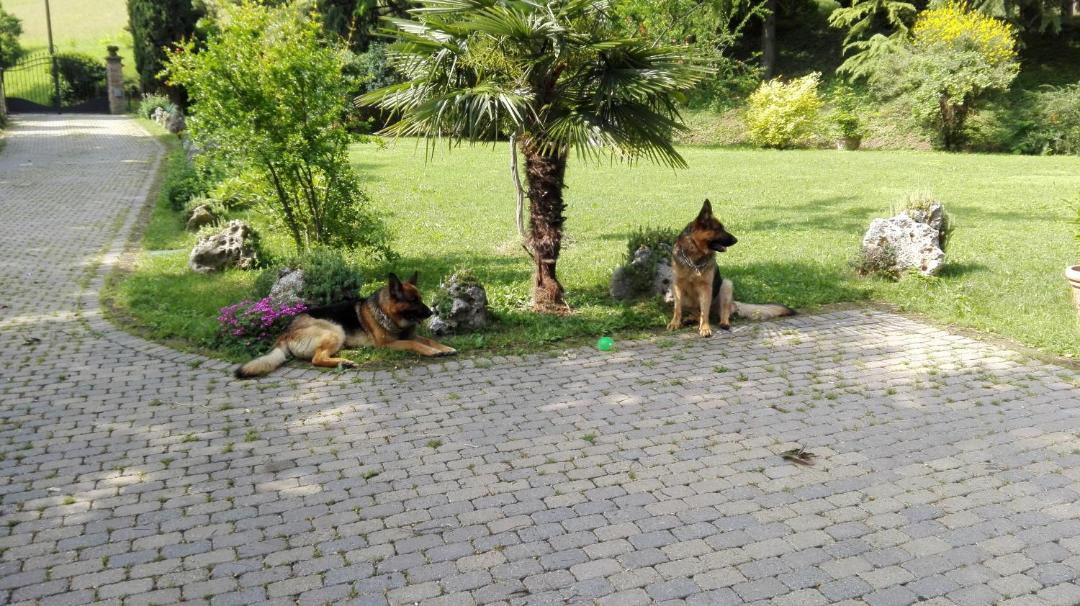 Photo of Outdoor in Casalecchio di Reno