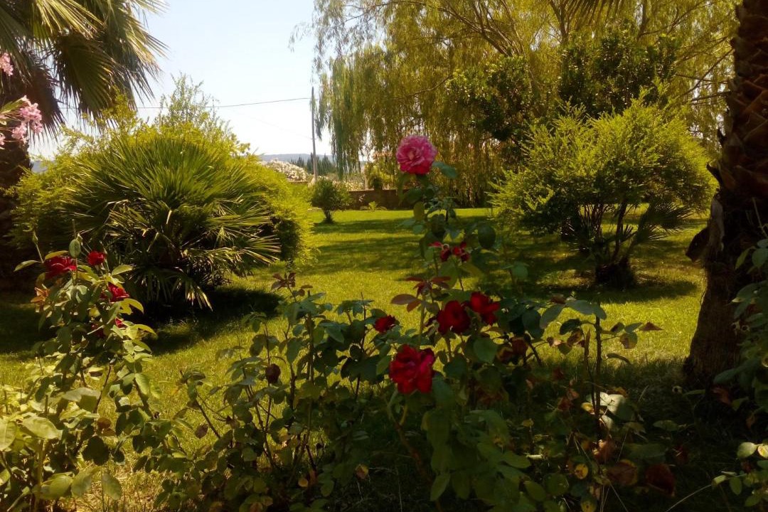 Photo of Outdoor in Olmedo