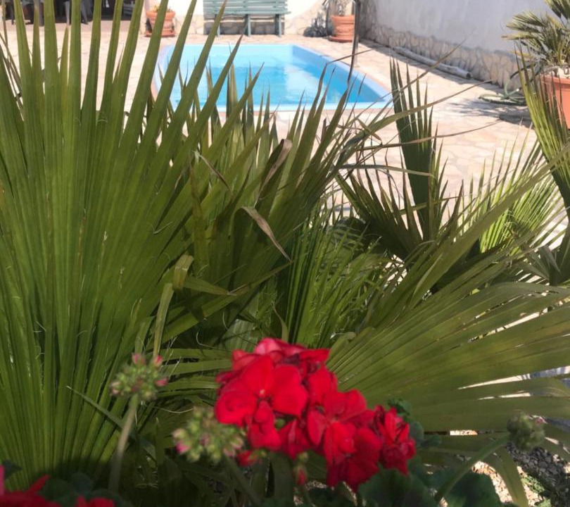 Photo of Outdoor in Pomezia
