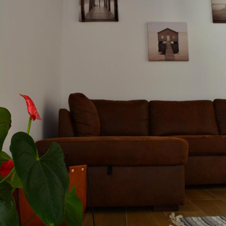 Photo of Livingroom in Historical Downtown Salerno
