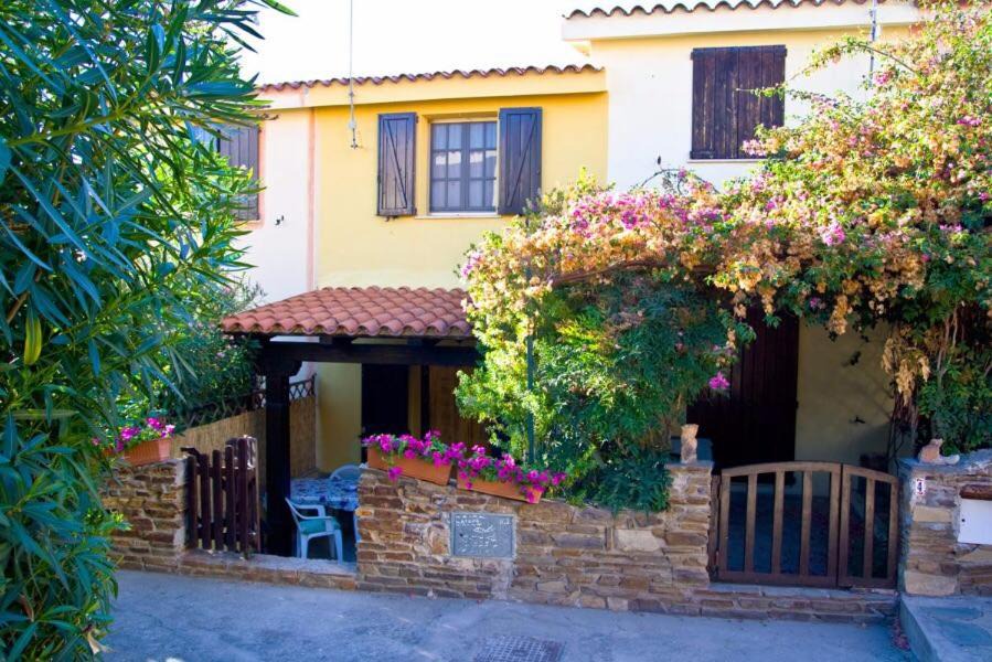 Photo of Buildings in San Teodoro City Centre