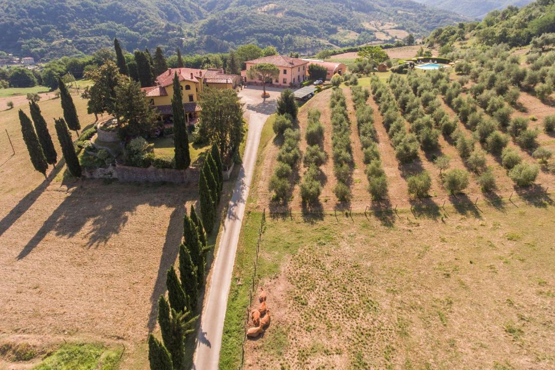 Photo of Others in Dicomano