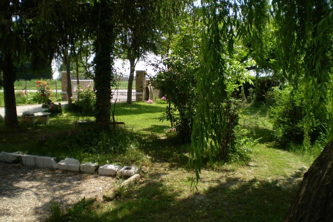 Photo of Others in Viconovo