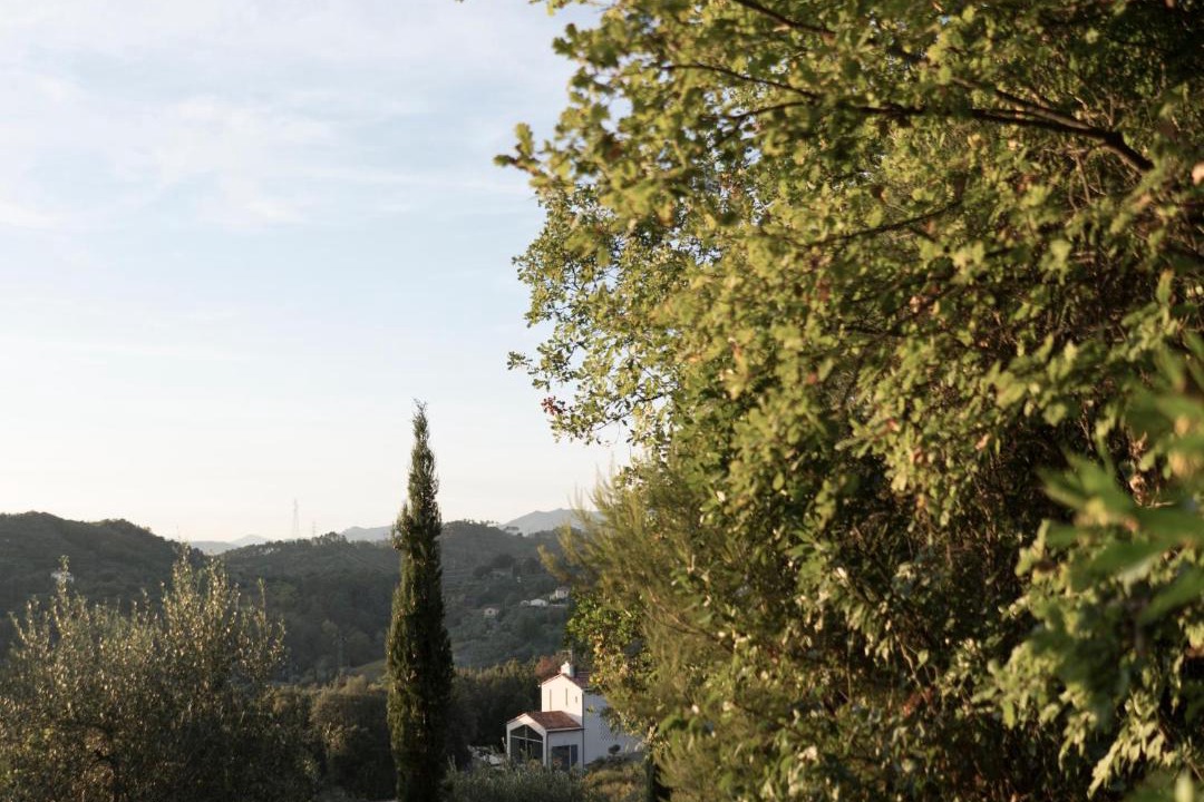 Photo of Others in Sarzana