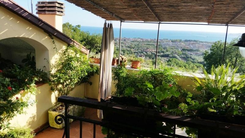 Photo of Others in Formia
