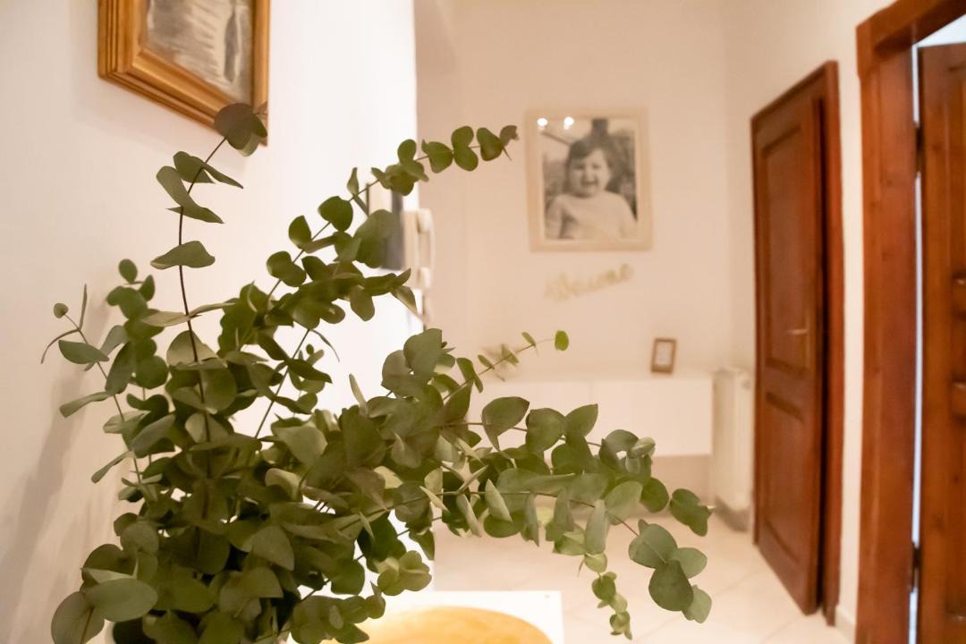 Photo of Others in Foligno