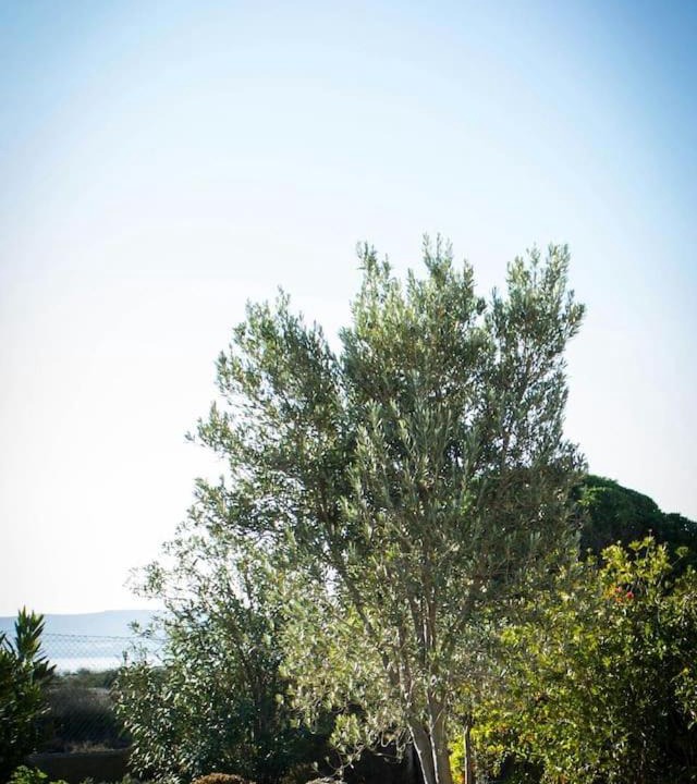 Photo of Outdoor in Porto Botte