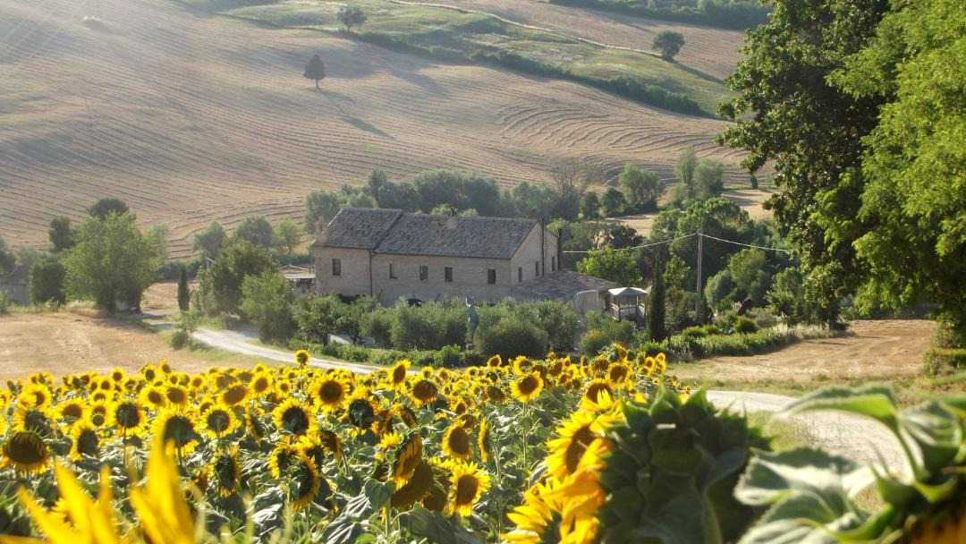 Photo of Others in Trecastelli