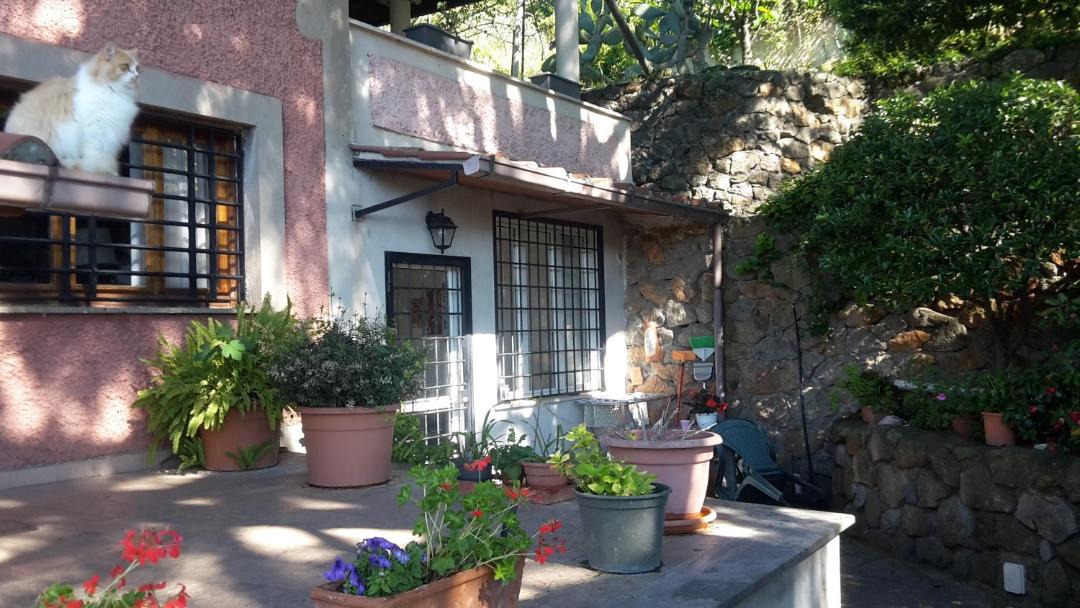 Photo of Others in Castel Gandolfo