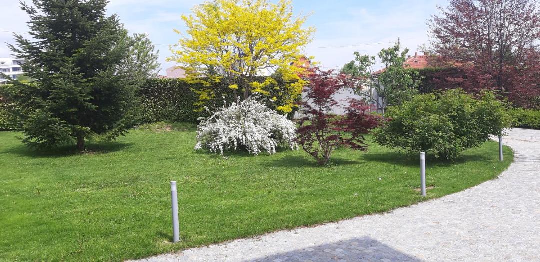 Photo of Outdoor in Cuneo