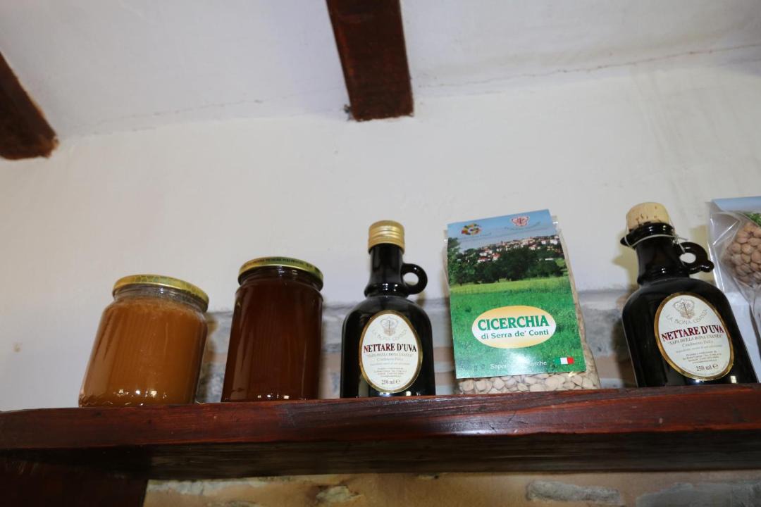 Photo of Kitchen in Avacelli