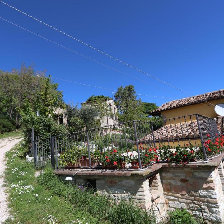 Photo of Others in Avacelli