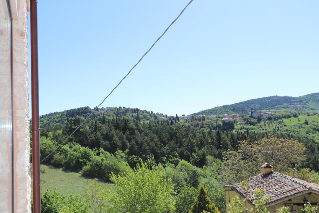 Photo of Others in Avacelli