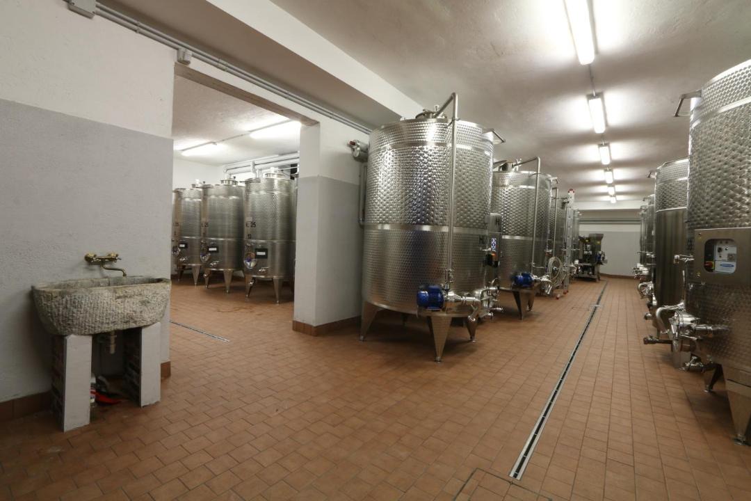 Photo of Others in Fogliano Redipuglia