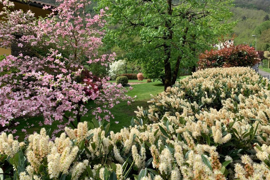 Photo of Outdoor in Gallicano