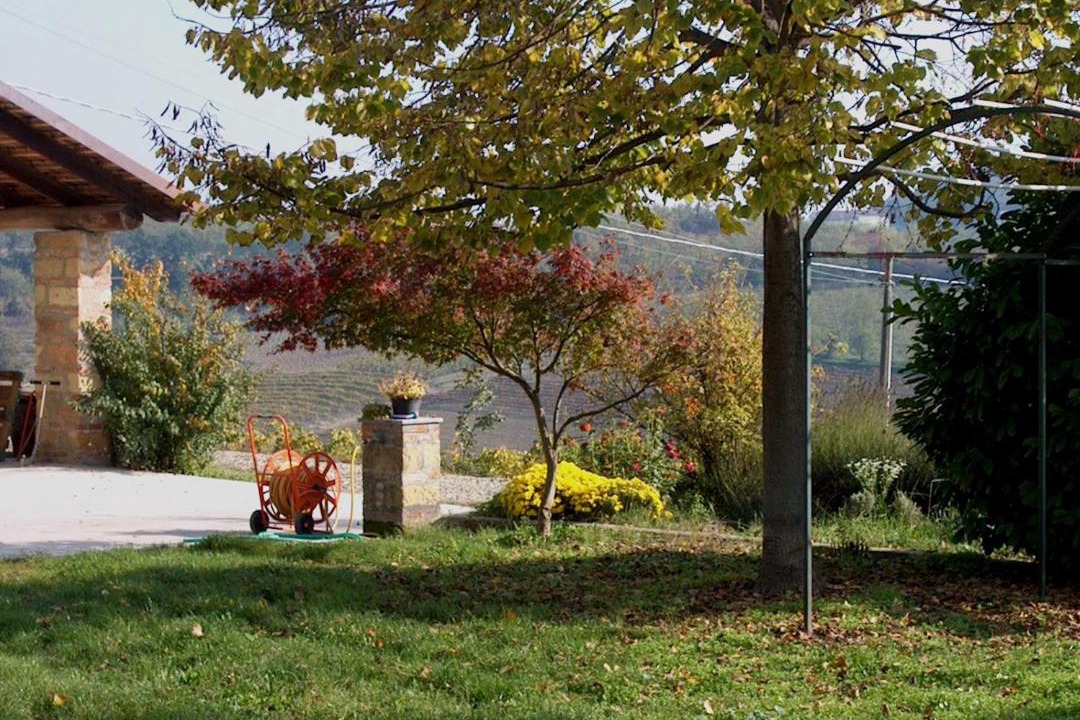 Photo of Others in Vignale Monferrato