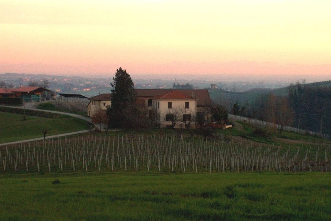 Photo of Others in Vignale Monferrato