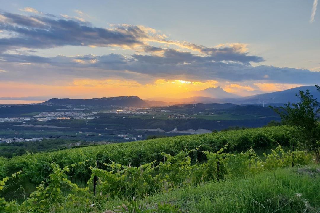 Photo of Others in Sant'Ambrogio di Valpolicella