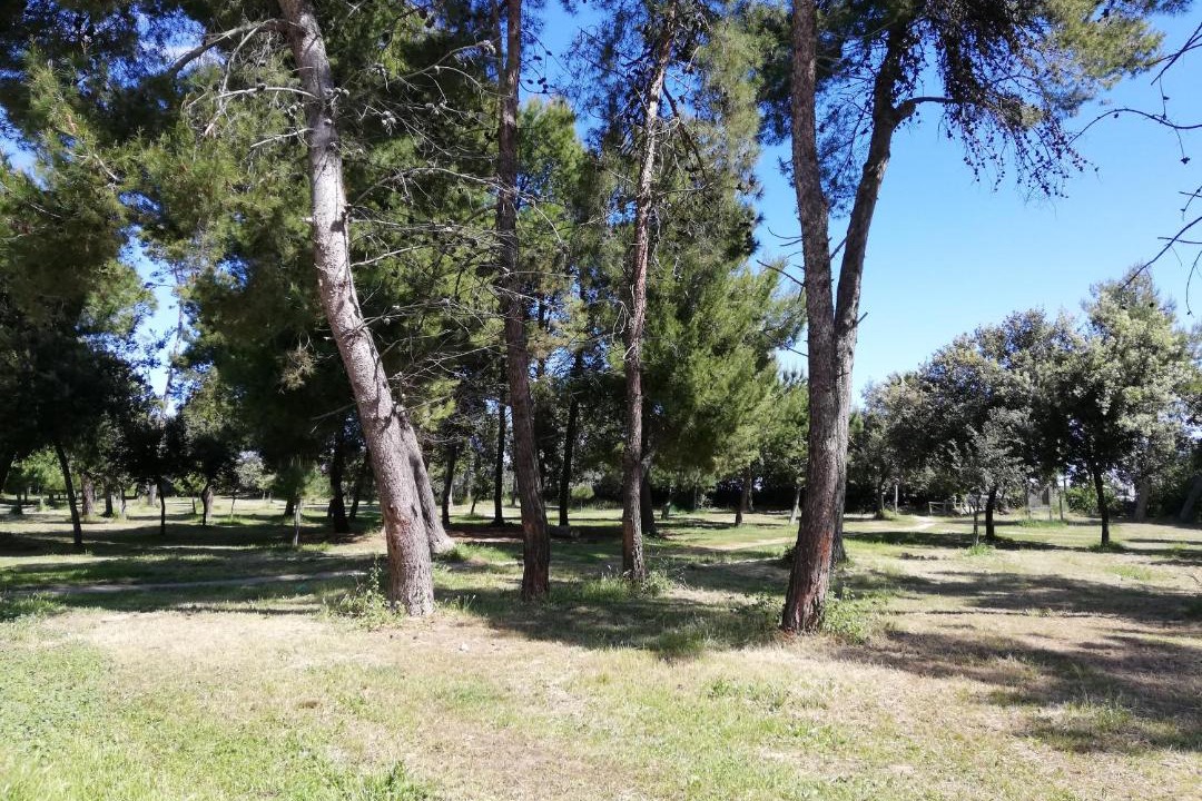 Photo of Outdoor in Montesilvano