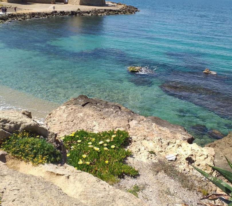 Photo of Others in Le Castella