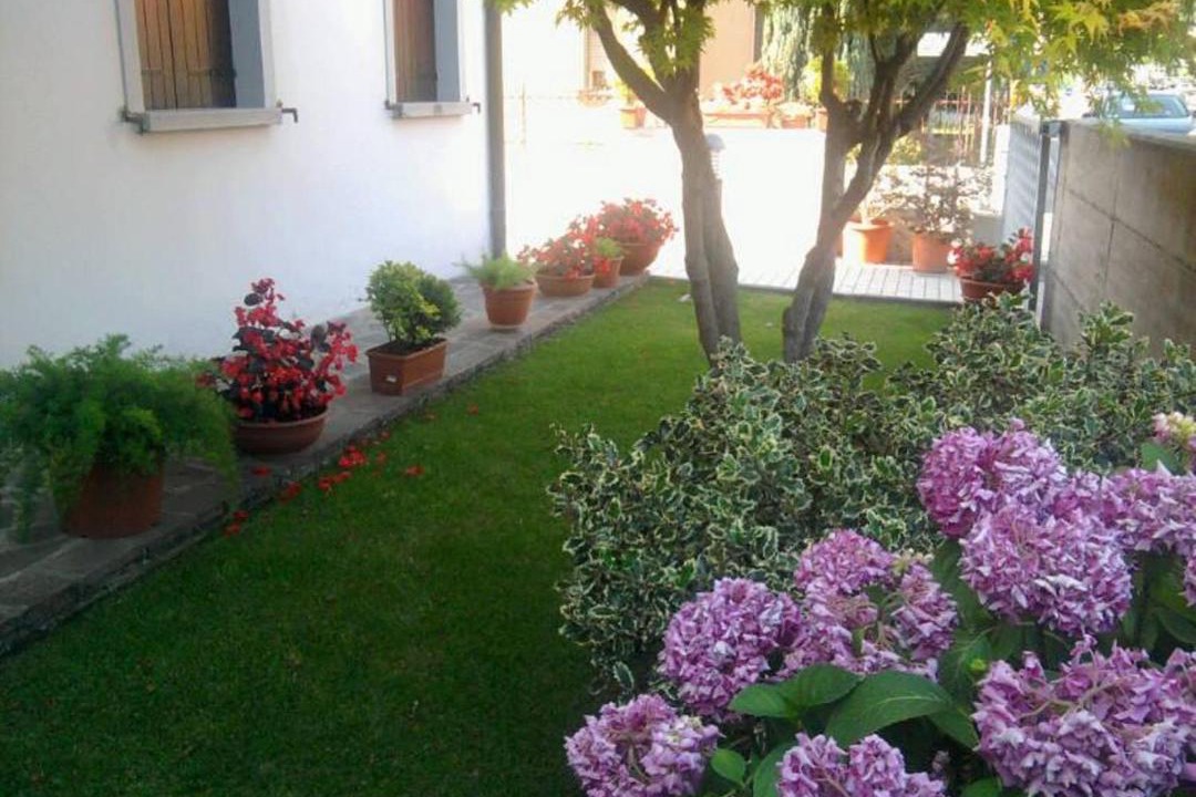 Photo of Others in Monselice