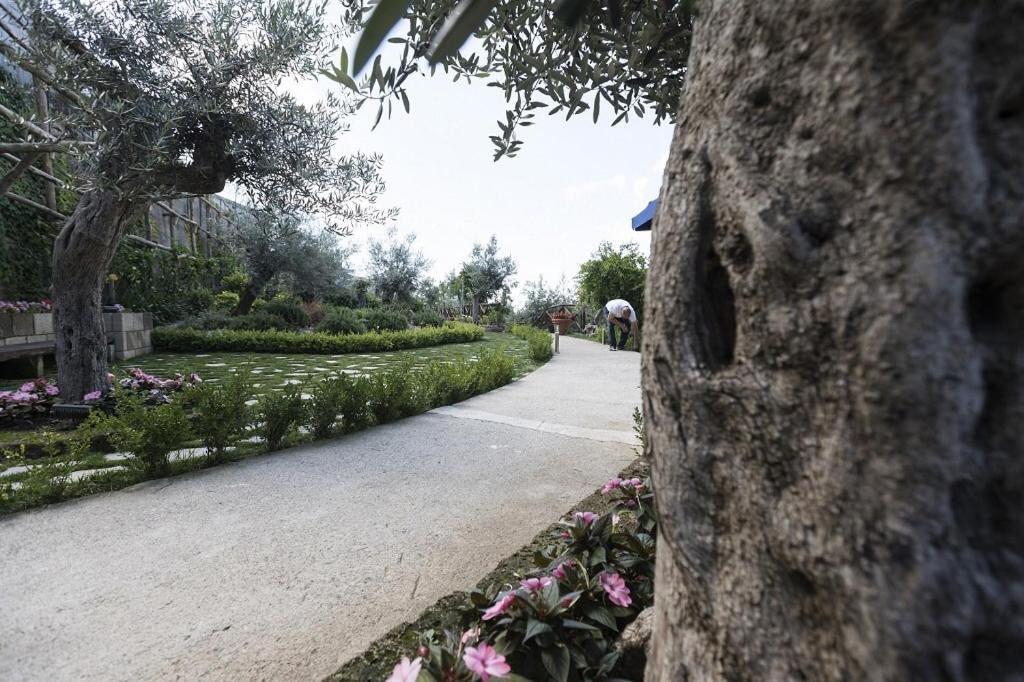 Photo of Outdoor in Campinola