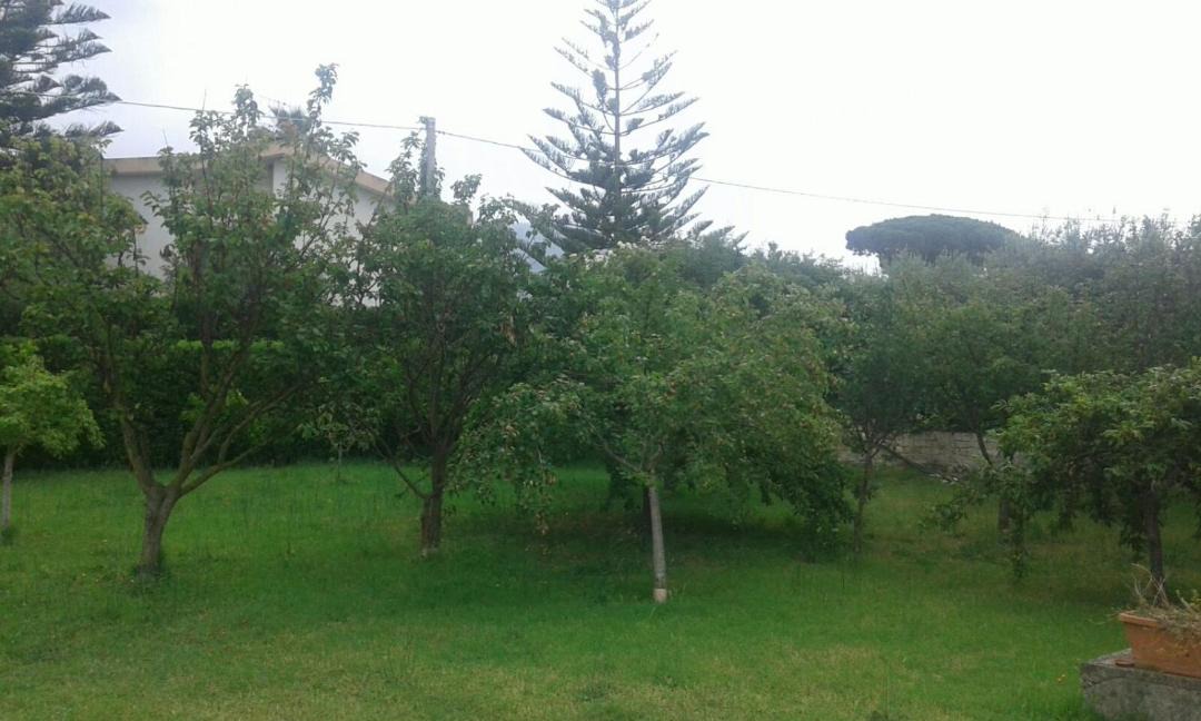 Photo of Outdoor in Sperlonga