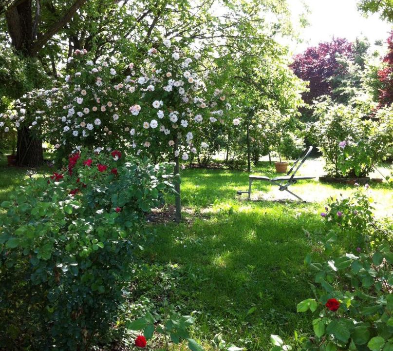 Photo of Outdoor in Soliera