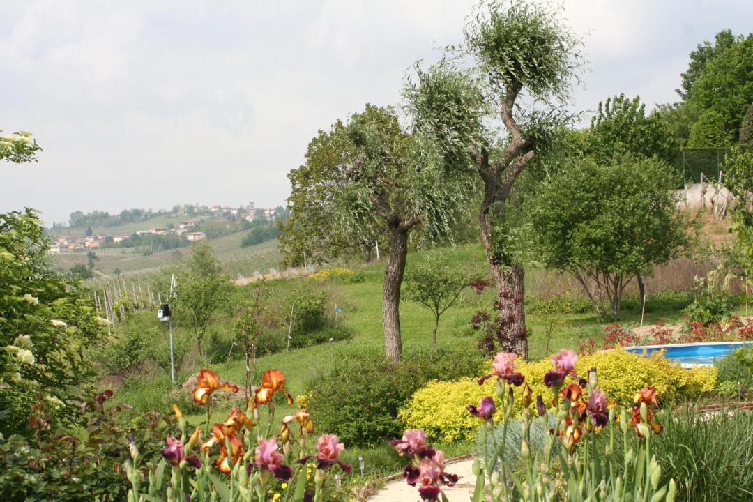 Photo of Outdoor in Montecalvo Versiggia