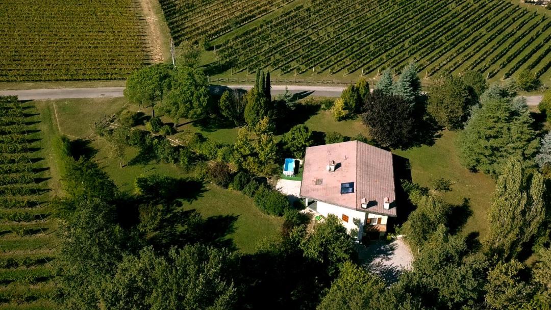 Photo of Buildings in Premariacco