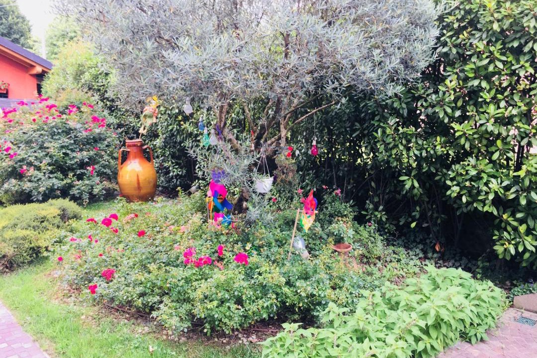 Photo of Outdoor in Sosta