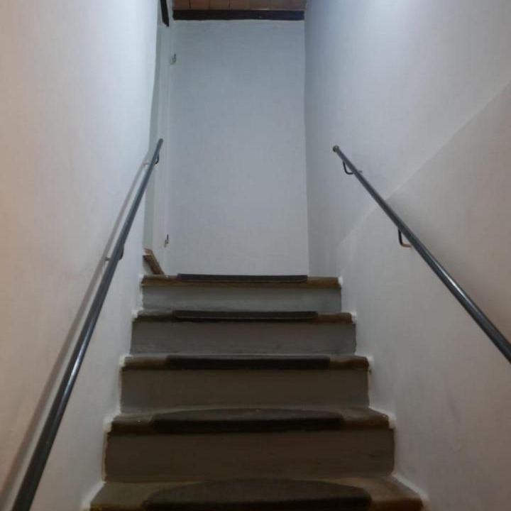 Photo of Others in Palaia
